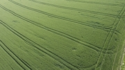 Zweischneidig: Grund für das zunehmende Grün sind Ertragssteigerungen in der Landwirtschaft – die Dünger und vermehrte Bewässerung brauchen. (Foto: Markus Breig, KIT) Zweischneidig: Grund für das zunehmende Grün sind Ertragssteigerungen in der Landwirtschaft – die Dünger und vermehrte Bewässerung brauchen. (Foto: Markus Breig, KIT)