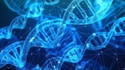 Treating diseases, "improving" the genetic make-up: Researchers at KIT are investigating the possible contribution of AI and the ethical questions that arise here. (Photo: Pixabay) Treating diseases, "improving" the genetic make-up: Researchers at KIT are investigating the possible contribution of AI and the ethical questions that arise here. (Photo: Pixabay)
