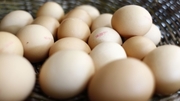 Eggshells consist of porous calcium carbonate, which is very suitable for electrochemical storage. (Photo: Manuel Balzer, KIT) Eggshells consist of porous calcium carbonate, which is very suitable for electrochemical storage. (Photo: Manuel Balzer, KIT)