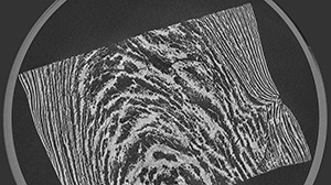 Microcomputer tomography (µCT) makes the product structure visible. (Fig.: Patrick Wittek, KIT)