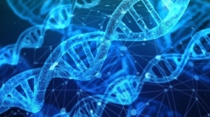 Treating diseases, "improving" the genetic make-up: Researchers at KIT are investigating the possible contribution of AI and the ethical questions that arise here. (Photo: Pixabay)