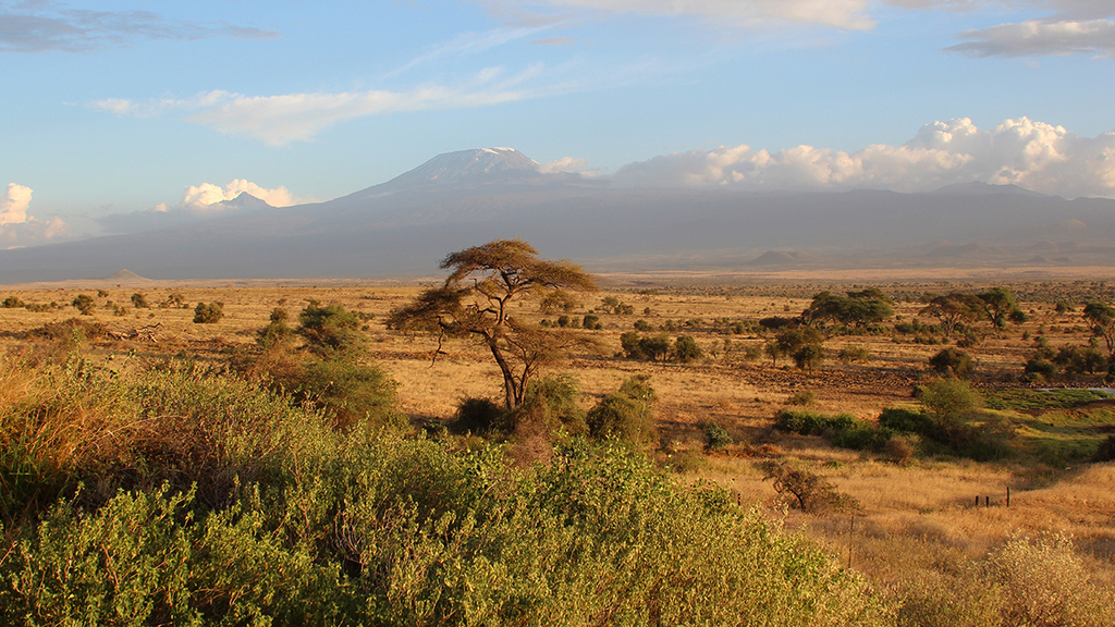 The Kilimanjaro characterizes the landscape of East Africa. The effects of climate change are already clearly felt there.