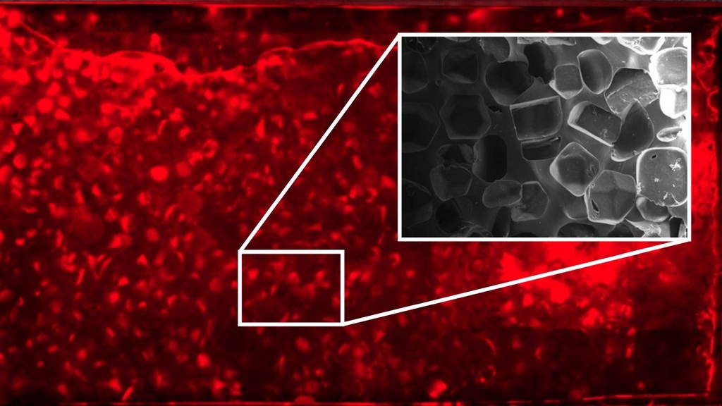 Die schwammähnliche Struktur des Chips (in grau) wurde mit Salzkristallen erzeugt. Die roten Mikroorganismen besiedeln sie im Labor innerhalb weniger Tage. (Foto: Institut für Biologische Grenzflächen-1, KIT) 