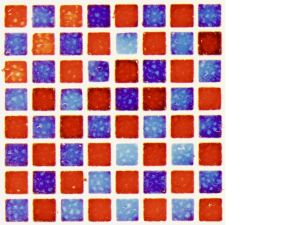 Wie ein Kunstwerk: Microspots mit in Wasser gelösten Farbstoffen auf dem neuartigen  Biochip des KIT.