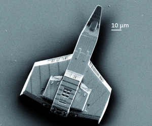 Drucken auf der Mikrometerskala: Die Schreibdauer für ein Miniaturraumschiff  redu- ziert sich ohne Qualitätsverlust auf weniger als eine Minute (Foto: Nanoscribe)