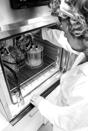 Biologist Johannes Eberhard Reiner, KIT, with the reactors for microbial electro-synthesis. (Photo: Constanze Zacharias)
