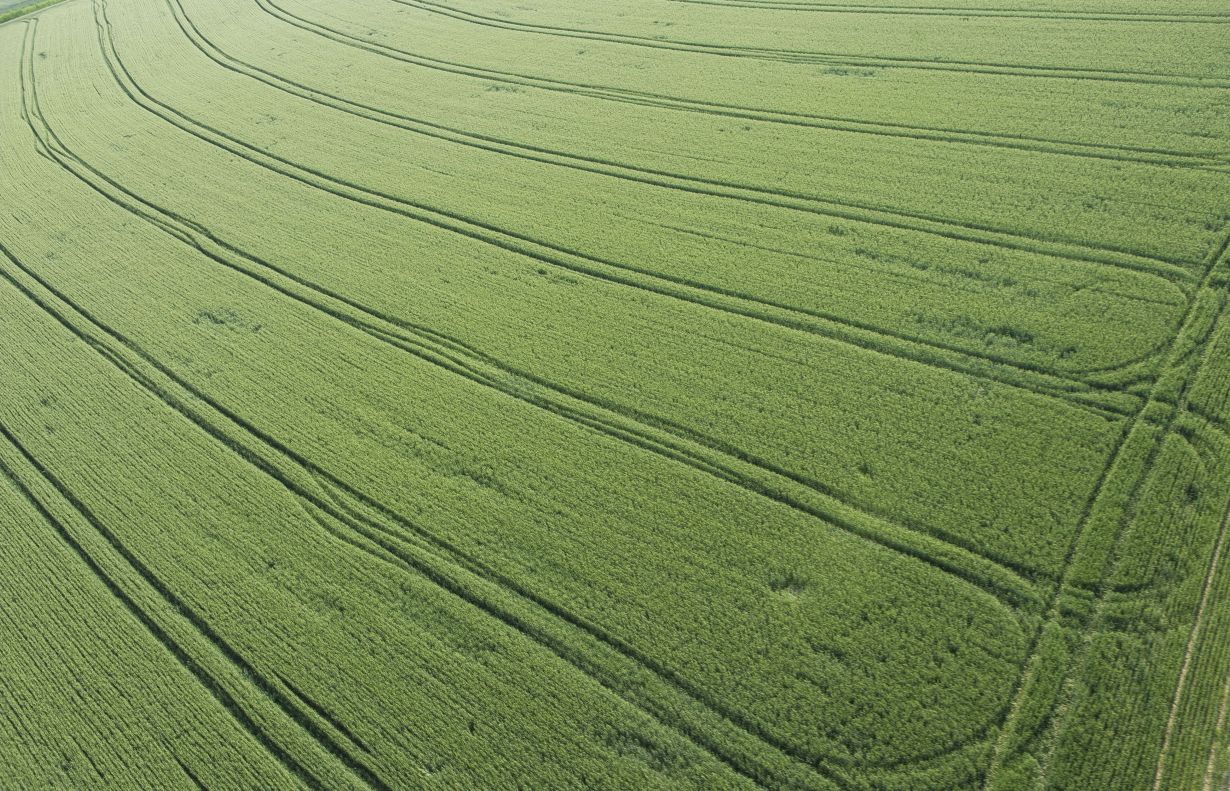 Mixed blessing: the growing global greening is due to increases in agricultural yields – which need fertilization and increased irrigation. (Photo: Markus Breig, KIT) 