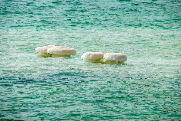 Salzpilz_k.jpg - Das Tote Meer ist ein Endsee, auch abflussloser See genannt. Durch die hohe Verdunstung im trockenen Wüstenklima reichern sich gelöste Minerale im Wasser an, welche bei Übersättigung als Mineralsalze ausfallen. Durch Seespiegelschwankungen und Wellengang bilden sich pilzartige Strukturen aus Salz, die aus dem Wasser herausragen.Foto: Jutta Metzger, Karlsruher Institut für Technologie