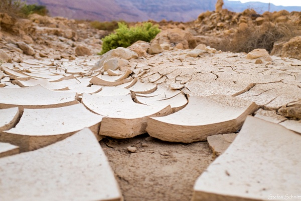 Trockenrisse_k.jpg - Wadis sind ausgetrocknete Flussläufe, die nur nach Niederschlagsereignissen vorrübergehend Wasser führen, häufig in Form von Sturzfluten. Nach einer Sturzflut sammeln sich feinkörnige Sedimente in Pfützen im Flussbett. Trocknen diese Ablagerungen aus, erfahren sie eine Volumenänderung, die man als Schrumpfung bezeichnet. Das Vermögen der Sedimente zu schrumpfen ist umso größer, je feinkörniger das abgelagerte Material ist. Da wo die Schrumpfungsvorgänge besonders stark ausgeprägt sind, entstehen Trockenrisse.Foto: Stefan Schmitt, Universität Heidelberg