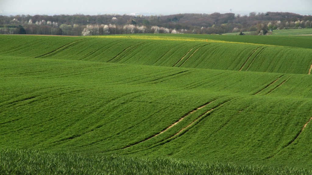 Klimawandel bedroht die Artenvielfalt