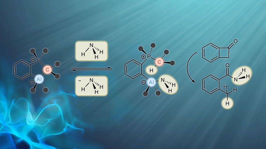 Reversible activation and catalytic transfer of ammonia via a compound of main group elements. (Figure: Frank Breher, KIT) 
