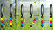 An inversion (left) in thale cress (background) can be undone with CRISPR/Cas (center) to reactivate the exchange of genes (right) in the said section. (Figure: Michelle Rönspies/KIT) 