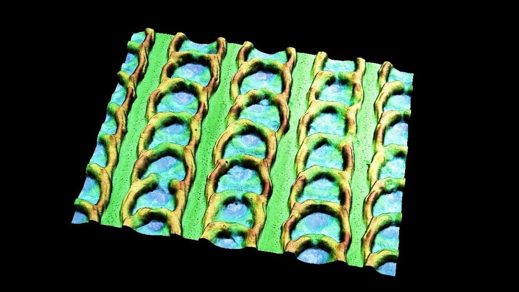 Von der Natur inspiriert und per Laser auf einen Stahlbolzen gefraest: 3-D-Aufnahme der schuppenaehnlichen Struktur (Aufnahme: Christian Greiner, KIT)