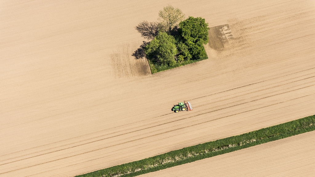 Ineffiziente Getreideernte (Foto: Markus Breig, KIT)