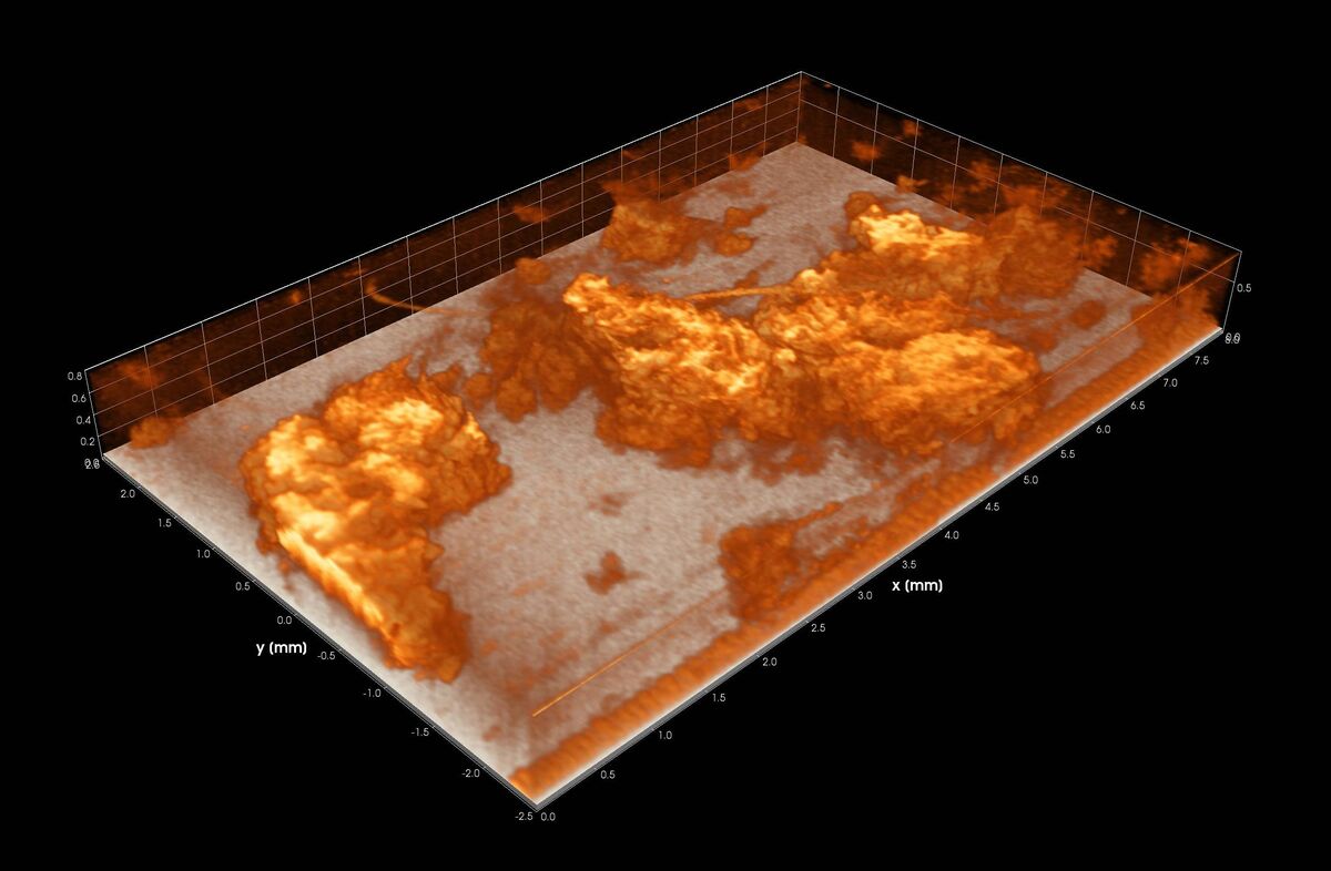 Biofilm auf der Anode (Boden) der Brennstoffzelle (Grafik: Michael Wagner, KIT)