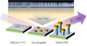 Untersuchungsprinzip: Auf einem Siliziumträger wachsen durch den Beschuss von Gallium-Tröpfchen mit Gallium und Arsen kleine dünne Nanodrähte. Das Wachstum lässt sich mit Röntgenstrahlung (X-ray) live verfolgen. Abschließend wurden die Nanodrähte mit dem Elektronenmikroskop untersucht (Hintergrund). (Bild: Philipp Schroth, KIT)