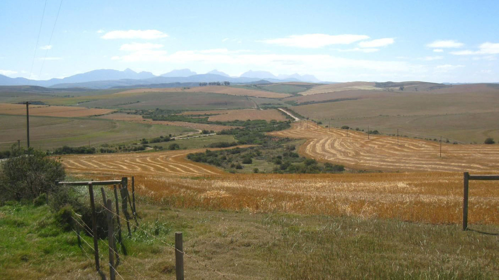 The conversion of forests into agricultural land accelerates climate change - this is the conclusion of the current study (Photo: Dr. Anita Bayer, KIT/IMK-IFU)