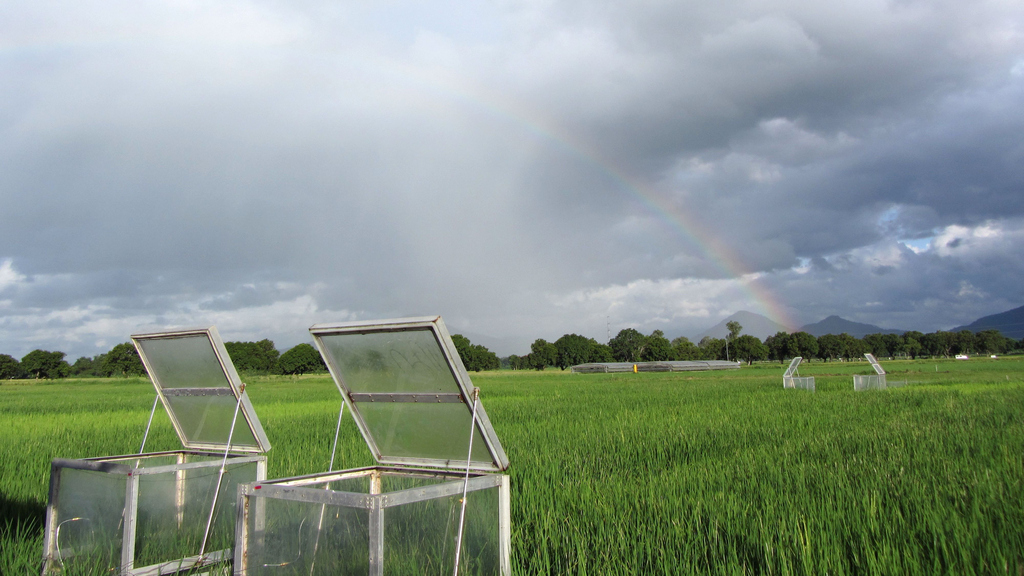 Trace gas measurement in the Philippines (Photo: Klaus Butterbach-Bahl, KIT)