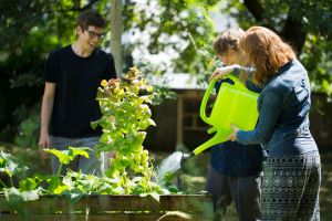 Im Campusgarten am KIT tragen Studierende, Beschäftigte und Anwohner zur nachhaltigen Campusentwicklung bei. (Foto: Lydia Albrecht, KIT)