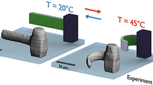 Das richtige Material macht’s: Die Objekte aus dem 3D-Drucker sind auch nach dem Druck noch beweglich und können etwa durch Temperaturänderung stimuliert werden. (Grafik: Marc Hippler, KIT)