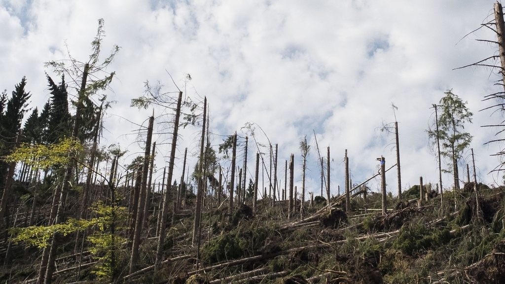 Klimaziele