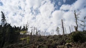 Deforestation and intensive agriculture and grazing - human land use contributes to climate change just as much as fossil power plants and combustion engines (Photo: Markus Breig, KIT)