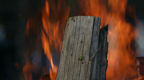 Modelle sollen vorhersagen, wie sich ein Feuer im Wald unter den vorhandenen Bedingungen ausbreitet. (Foto: Gabi Zachmann, KIT)
