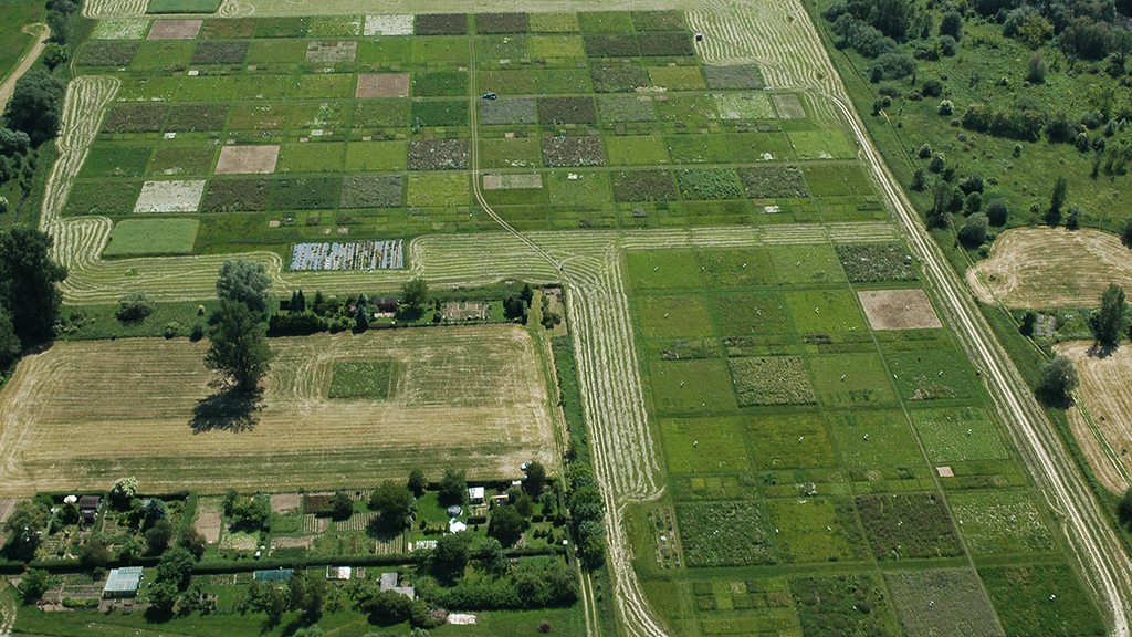 Effects of biodiversity in grassland were investigated by the Jena Experiment