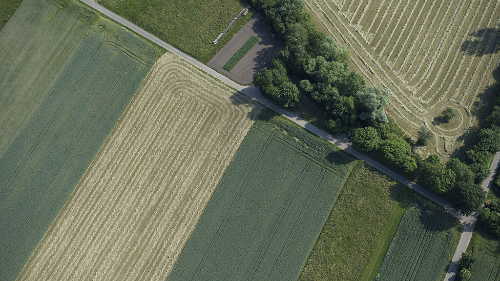 Aerial view of a landscape