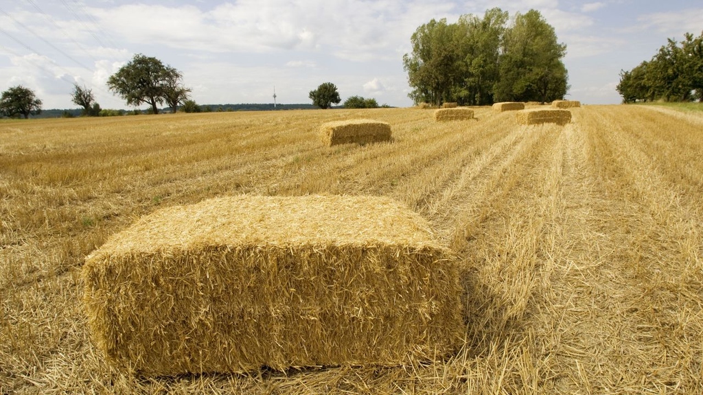 Stroh und weitere Reststoffe aus der Landwirtschaft könnten künftig direkt auf dem Bauernhof in Materialien und Energieträger umgewandelt werden. (Foto: KIT) 