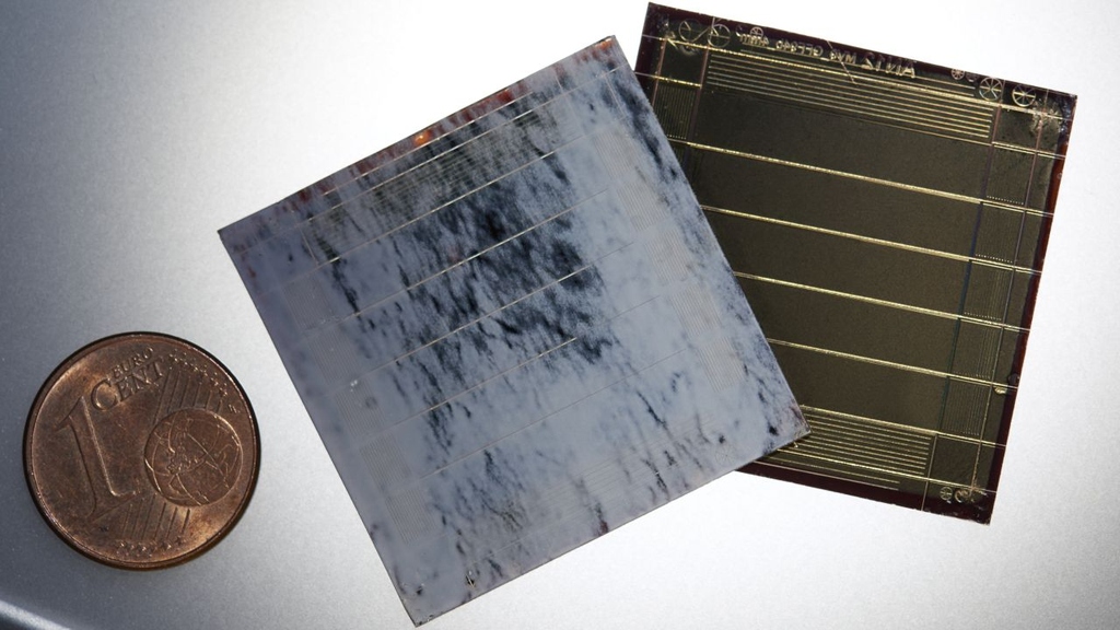 Perovskite Solar Modules in Marble Optics