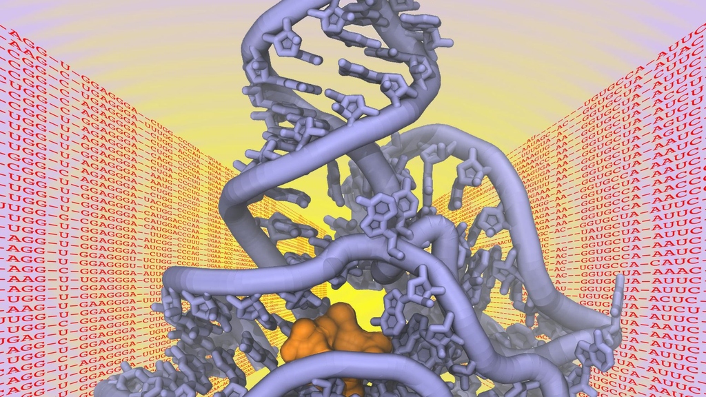 Die räumliche Struktur von Biomolekülen wie Proteinen, DNS oder RNS ist entscheidend für ihre Funktion als „molekulare Maschinen“ in der Zelle (Bild: Alexander Schug).
