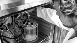 Der Biologe Johannes Eberhard Reiner vom KIT mit den Reaktoren zur mikrobiellen Elektrosynthese (Foto: Constanze Zacharias).