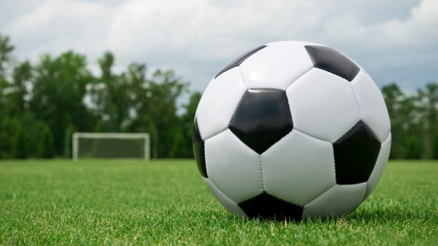 Logo DHM Fussball 2010