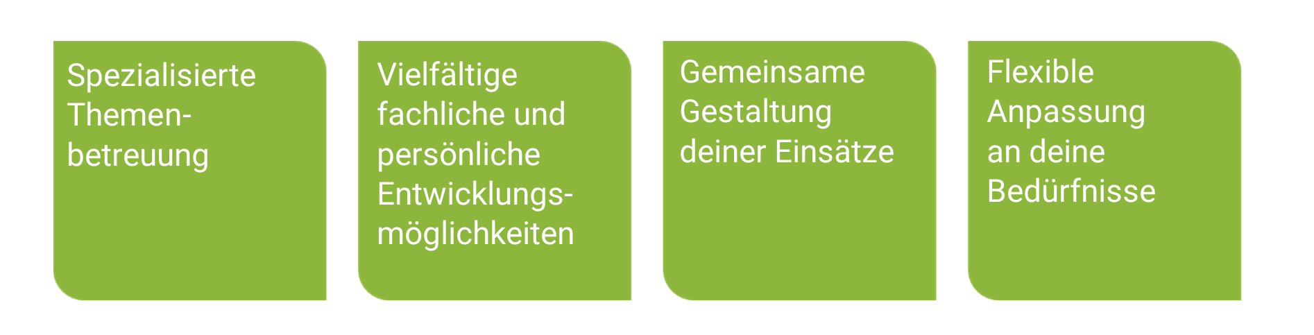 Spezialisierte Themenbetreuung, Vielfältige Möglichkeiten zur fachlichen und persönlichen Entwicklung, Gemeinsame Gestaltung deiner Einsätze, Flexible Anpassung an deine Bedürfnisse