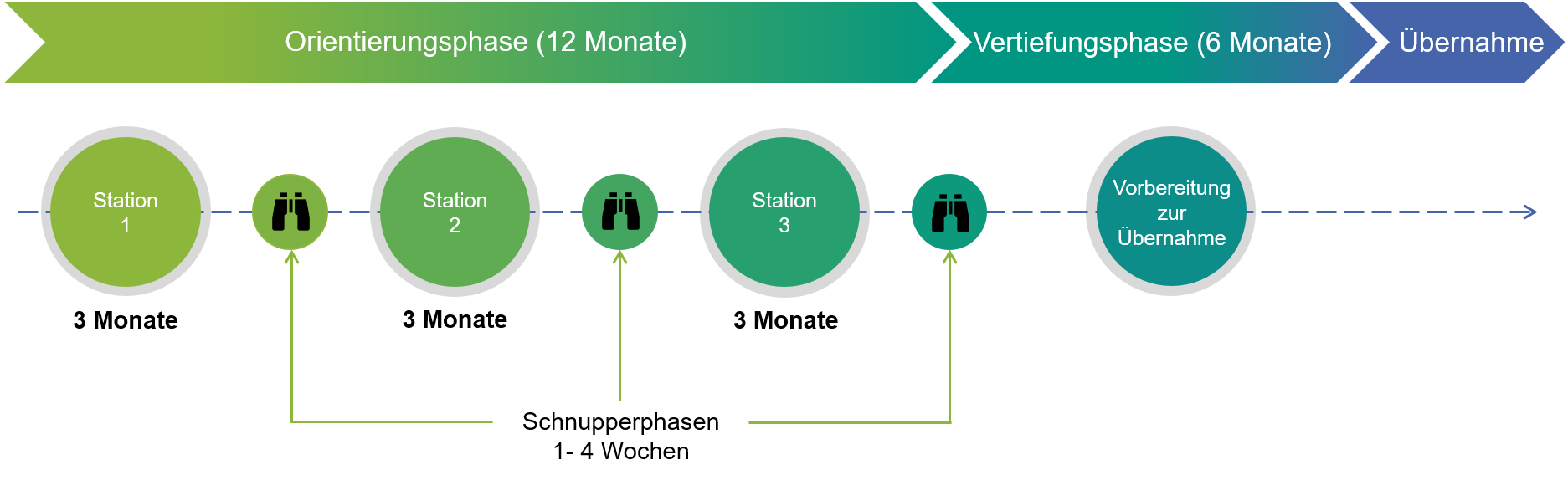 Grafische Darstellung zum Ablauf des Traineeprogramms, Beschreibung im Text