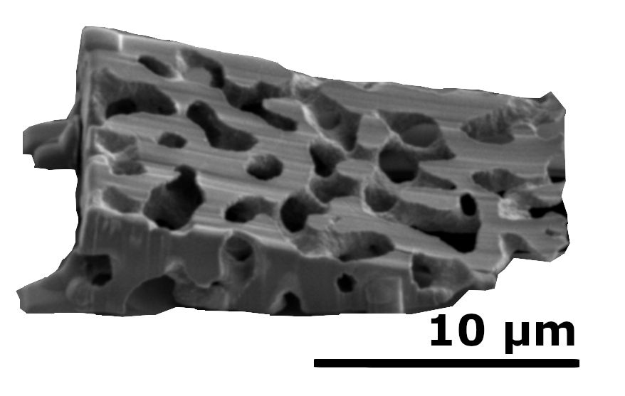 Forschende am KIT haben ein Verfahren entwickelt, das die Änderung der Porenstruktur von Katalysatoren, Membranen und Adsorptionsmaterialien bei sehr hoher Auflösung untersucht. (Foto: Sebastian Weber, KIT) 