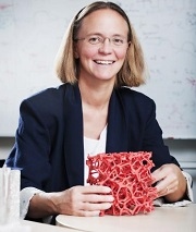 Leibniz-Preis für Britta Nestler, IAM-CMS