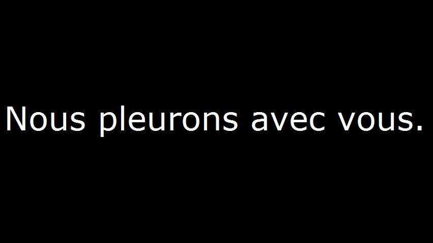 Nous pleurons avec vous: Aufruf zur Mahnwache und zum Gedenken an die Opfer der Terroranschläg in Paris am 13. November 2015