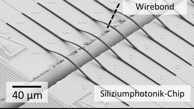 Rasterelektronenmikroskop-Aufnahme eines 3D-gedruckten Lichtwellenleiters, der zwei Siliziumphotonik-Chips miteinander verbindet. (Bild: DELPHI/KIT)