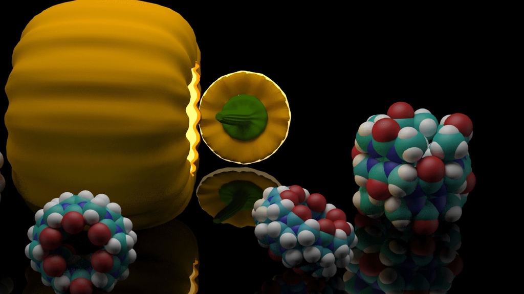 Grafik der Kürbis-förmigen Molekül-Klasse Cucurbiturile (Bild: Jacobs University / Khaleel Assaf)