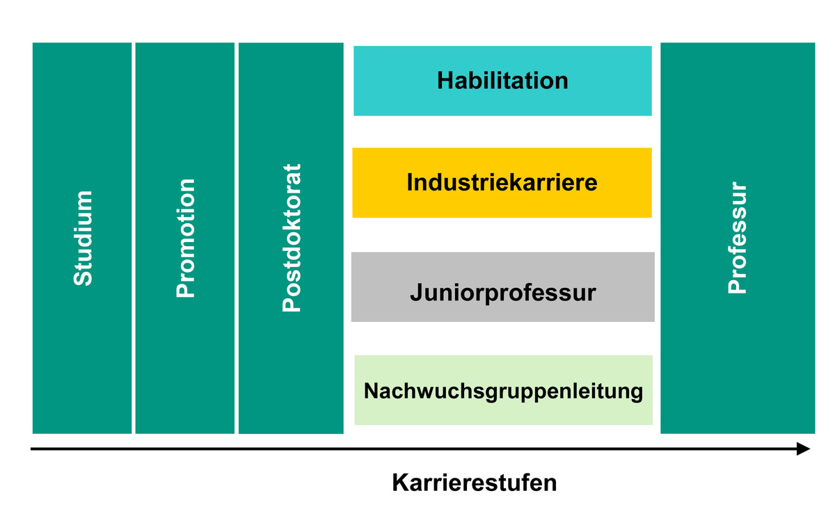 Grafische Darstellung der Wege zur Professur