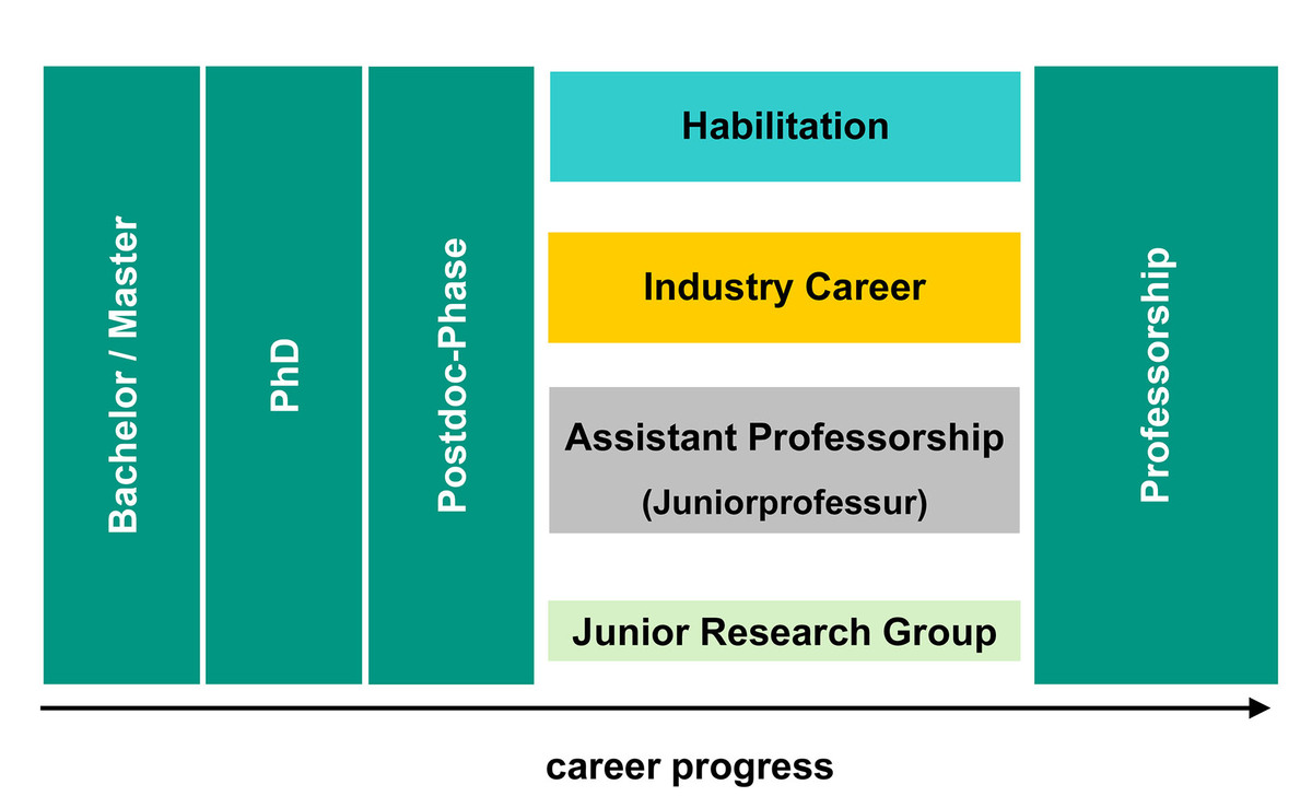 Illustration of paths to professorship