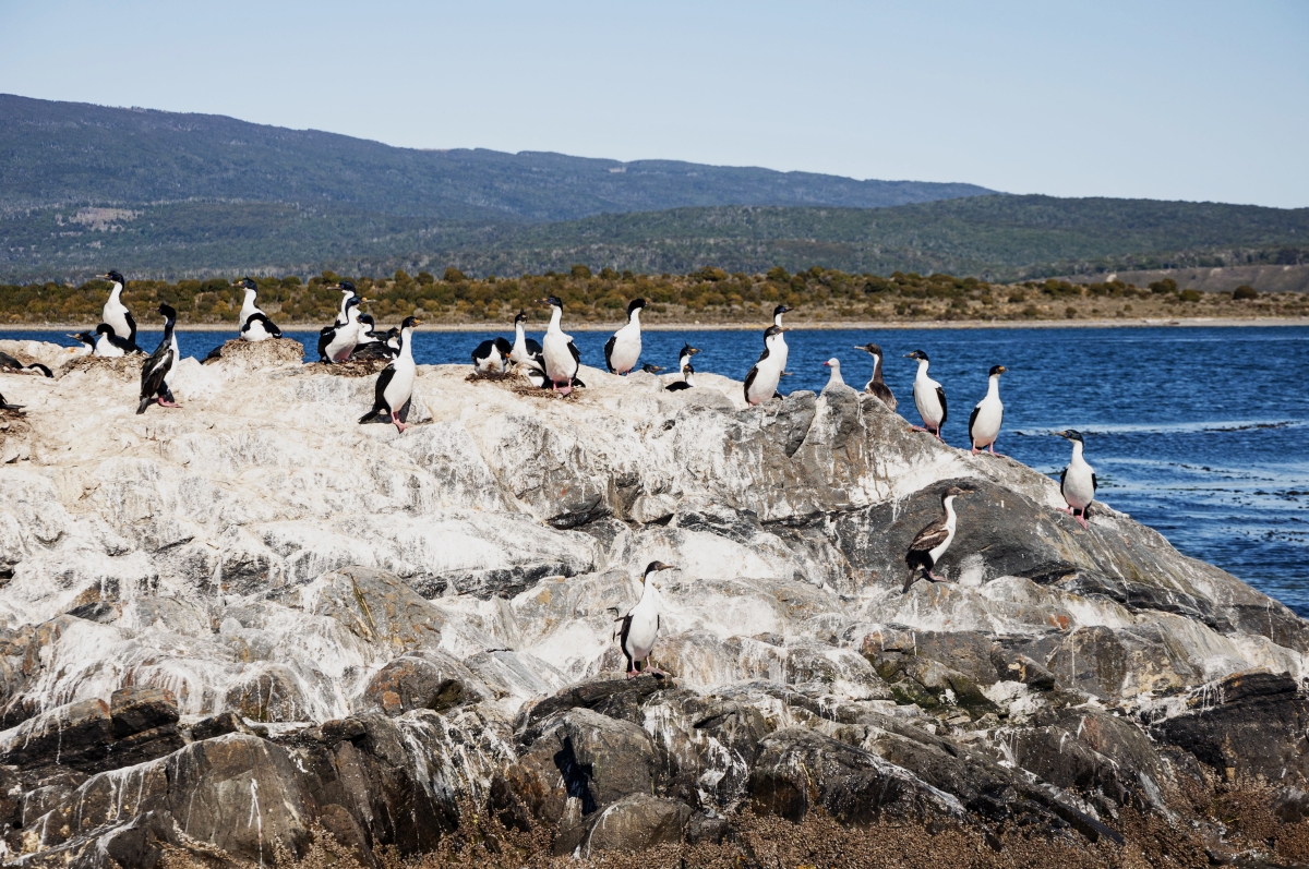 Das Erreichen einer Vielzahl bestehender Ziele für die biologische Vielfalt ist durch den Klimawandel massiv gefährdet. (Foto: Laila Tkotz, KIT)