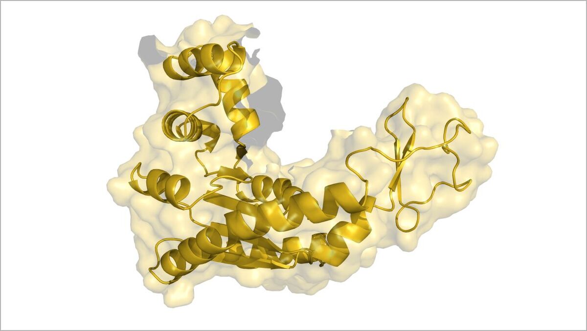Struktur eines Biomoleküls