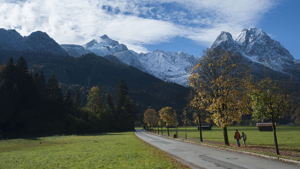 Weg mit Bäumen vor Bergkulisse