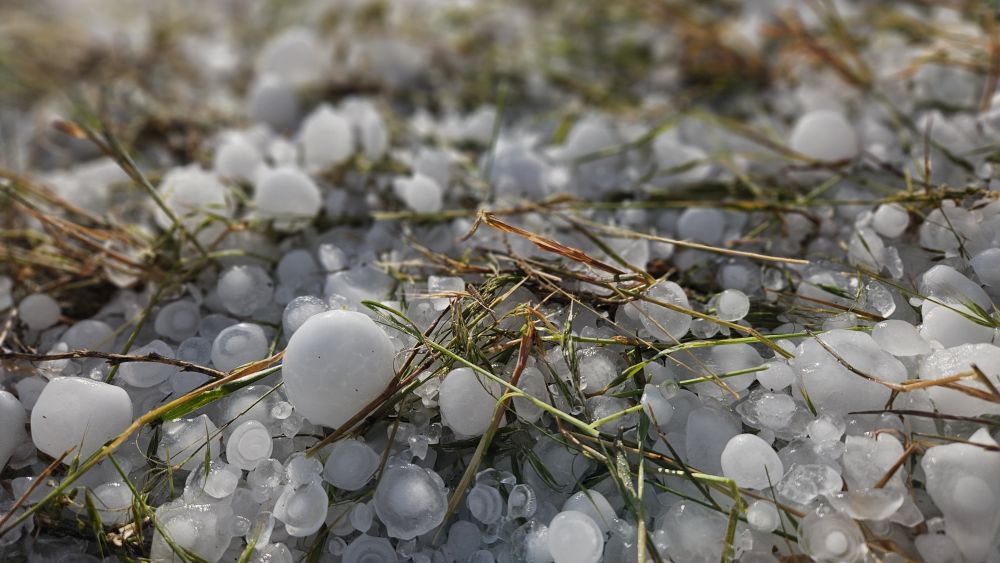 Small white hailstones on grass, scattered across the ground.