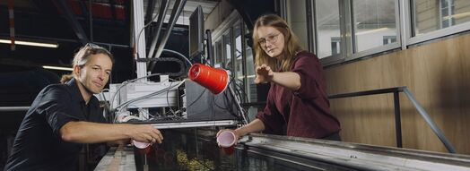 A lecturer and a female student throw plastic cups into a water channel to test how they behave in flowing water.