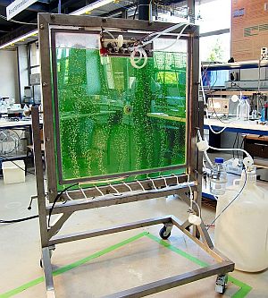 Der Plattenreaktor im Labor sorgt für ein optimales Lichtmanagement bei der Kultivie-rung von Algen (Quelle: Florian Lehr)