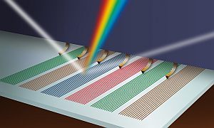 Optische Gitter aus Biomembranlipiden lassen sich als neuartige Biosensoren einsetzen. Geschrieben werden sie mit der Dip-Pen Nanolithographie (Grafik: Wilfrid Schroeder) 